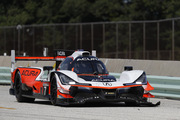 IMSA Road Race Showcase
